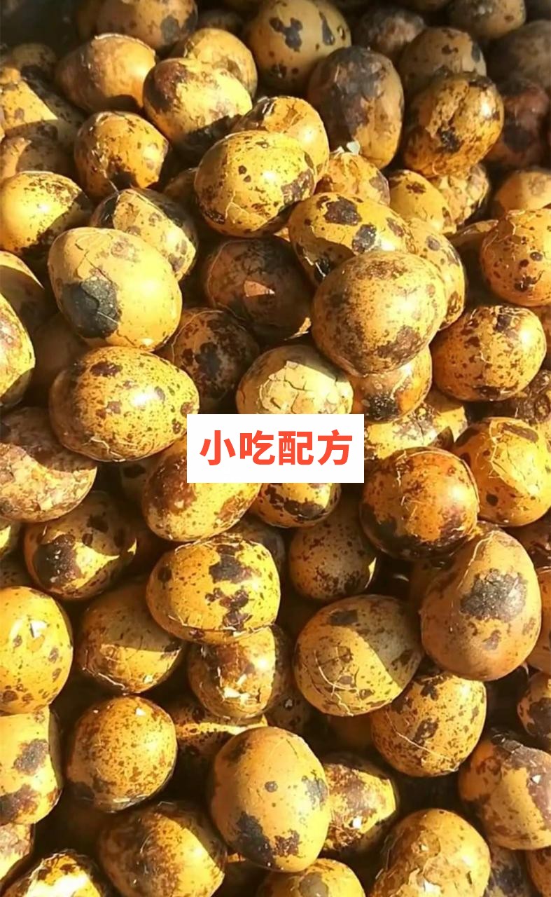 老北京熏鸟蛋技术配方视频教程 小吃技术联盟配方资料 第1张 老北京熏鸟蛋技术配方视频教程 小吃技术联盟配方资料 第1张
